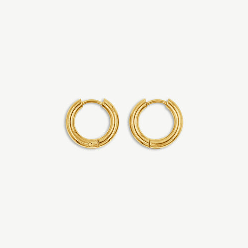 Small Hoop Earrings - 2.5mm thick