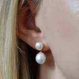 Rice button Freshwater Pearl Earrings - Gold
